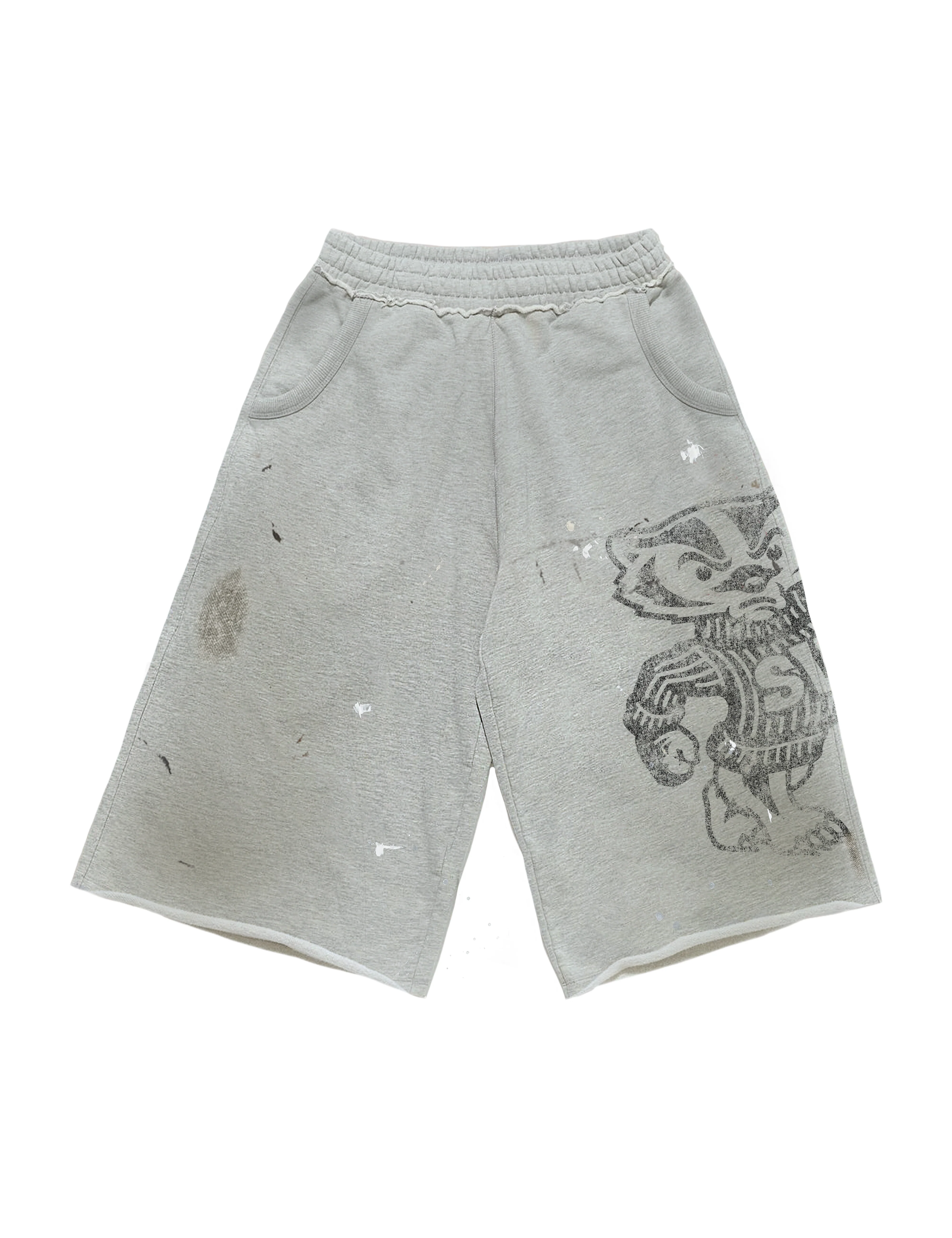 Capsule 26-005+